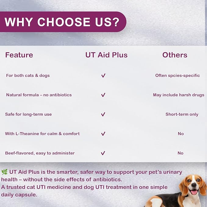 Natural UTI Treatment for Cats & Dogs – Antibiotic-Free Urinary Tract Infection Support Supplement – Bladder & Kidney Health – Incontinence Prevention – 30 Capsules