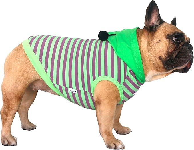 iChoue French Bulldog Bee Honeybee Bumblebee Caterpillar Insect Halloween Costumes Hoodies Sleeveless Clothes Outfits Cosplay Shirts for Dogs Frenchie Pug Boston - Green Purple, Medium