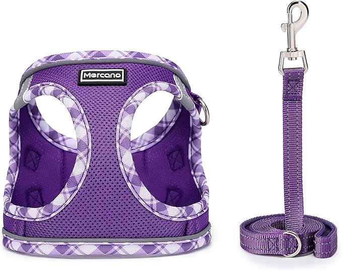 Mercano Soft Mesh Dog Harness and Leash Set, No-Chock Step-in Reflective Breathable Lightweight Easy Walk Vest Harnesses with Safety Buckle for Small Dogs, Cats (XS, Purple)