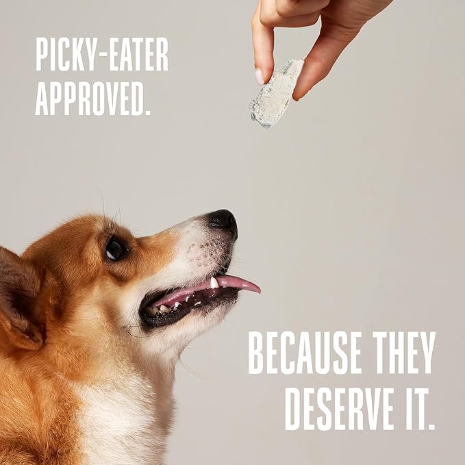 Whole Life Dog Just One Chicken Freeze Dried Dog Treats - Human Grade High Protein Food, Healthy Training Snacks, Freeze Dried Food Toppers, USA Made Natural Treats - 10 oz (Value Pack of 1)