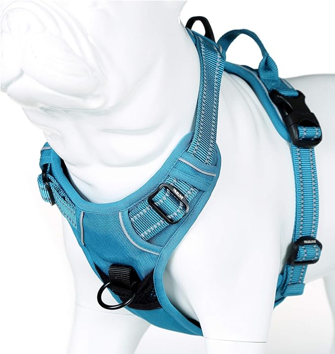Truelove No Pull Dog Harness with Easy Control Handle and 2 Leash Attachments,Reflective Adjustable Pet Vest