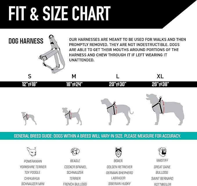 Wolfgang Heavy Duty Adjustable Dog Harness, Pull-Tested to Over 800 lbs for Walking & Training, LostArt Print, Small