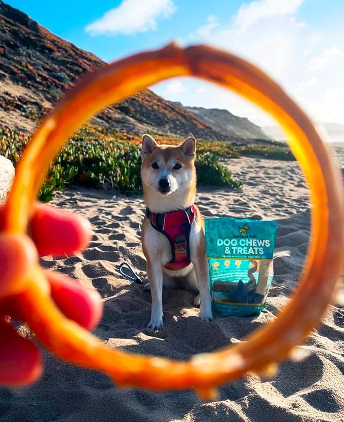 hotspot pets Bully Stick Rings for Dogs (10 Pack) 4 Inch Circles- Premium All Natural Long Lasting Twisted Beef Pizzle Dog Chew Treats - Grain Free, Fully Digestible, Rawhide Alternative Thick Chews