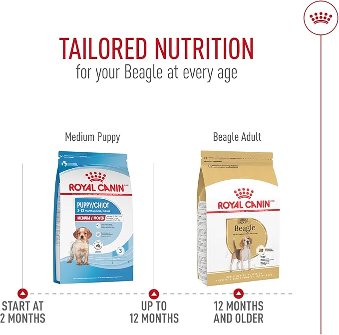 Royal Canin Beagle Adult Dry Dog Food, 6 lb bag