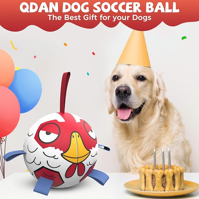 QDAN Premium Dog Balls Toys, Outdoor Dogs Toy for Small Medium Dogs, Puppy Birthday Gifts, Dog Soccer Ball, 6 Inch, Chicken Ball