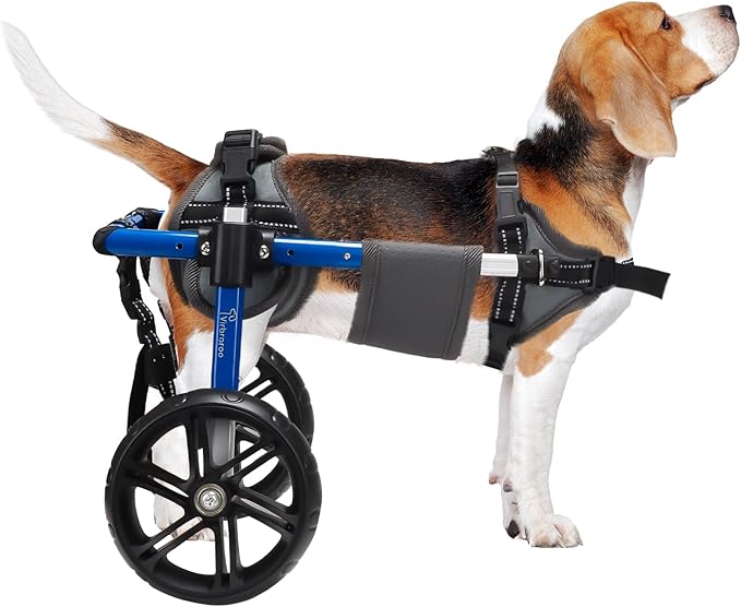 Dog Wheelchair for Back Legs with Upgraded All-Terrain Tires & Durable Bearings,Adjustable Dog Wheelchair for 11.8"-17.7" Lenght,22-35 lbs Disabled or Injured Small Dogs
