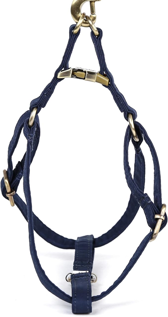 Angie and Allie Organic Cotton Personalized Step in Dog Harness,Custom Dog Halter Vests,Adjustable No Pull Canine Halter Harness for Small Medium Large Dogs