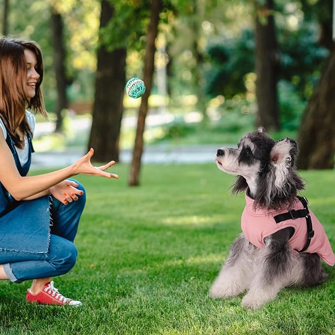 Norbi Dog Coat - Winter Jacket with Built-in Harness, Adjustable for Small to Large Dogs, Warm for Cold Weather