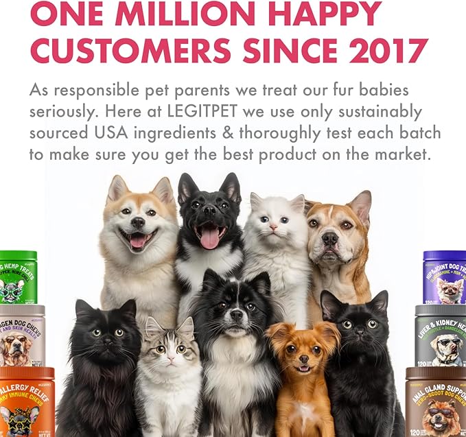 Cranberry UTI Chews for Dogs Bladder Support + D-Mannose Supports Kidney Urinary Tract and Bladder Health Natural Cranberry Wellness Supplement Immune System Booster Natural Pet Antioxidant 120 Chews