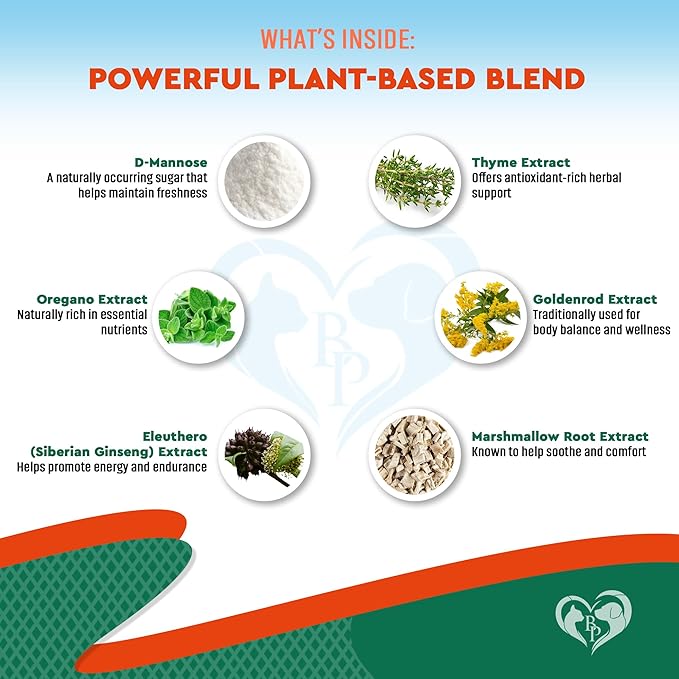 Natural Antibiotic for Dogs & Cats – Herbal Supplement for Kennel Cough Relief, UTI Treatment, Urinary Tract Health, Intestinal Defense & Immune Support – Liquid Drops