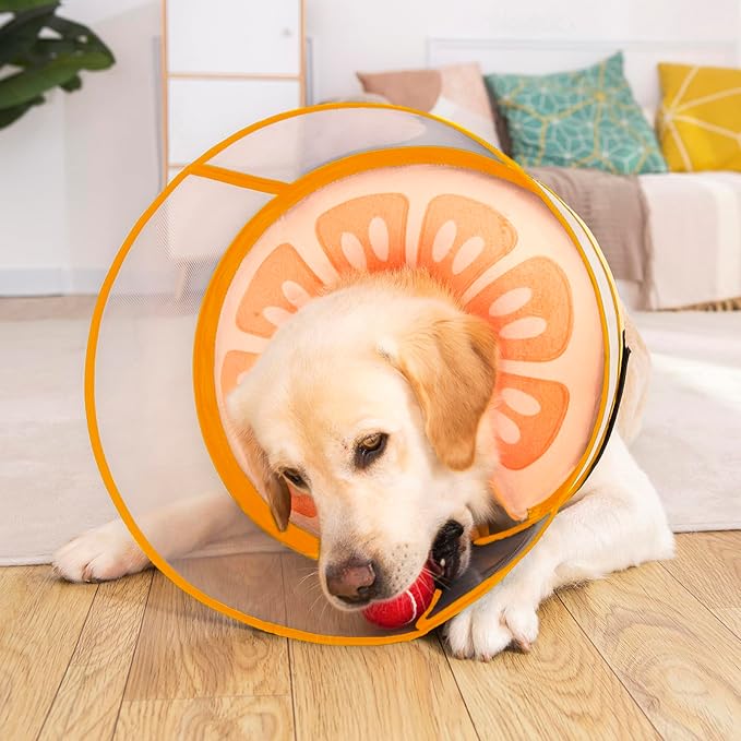 Inflatable Dog Cone Collar for Large Medium Small Dogs, Soft Dog Donut Collar Adjustable Recovery Cone for Pets After Surgery, Extra Enhanced Anti-Licking Guard Shield for Pets (Large, Orange)
