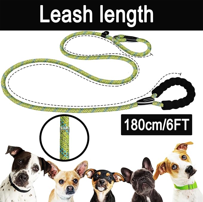 6 FT Heavy Duty Dog Leash, Durable Premium Quality Strong Training Rope Slip Leash with Comfortable Padded Handle and Highly Reflective Threads for Small Medium and Large Dogs, (Blue Green)