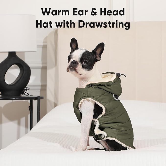 Fleece Lining Dog Hoodie with Harness Built in,Extra Warm Small Dog Jacket in Winter Puppy Coats with Drawstring Hooded,Green XS