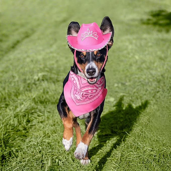 Yewong Pet Pink Cowboy Hat Costume Accessory Set Dog Cat Size Pink Cowgirl Princess Hat with Crown Tiara Bandana/Scarf for Cat Puppy Western Costume Daily Wearing Photo Props (Set A)