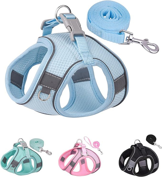 Solmoony Dog Harness and Leash Set for Small Medium Dogs - No Pull, Step-in, Mesh Puppy Harness (Blue, M)