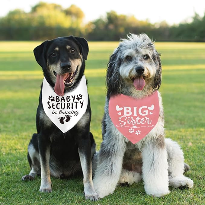 Dog Bandana Pregnancy Announcement Big Sister Doggy Bandana Baby Security in Training Printed Dog Bandanas Baby Announcement Puppy Scarf Pregnancy Pet Bandana for Dogs Pet Scarfs Accessories