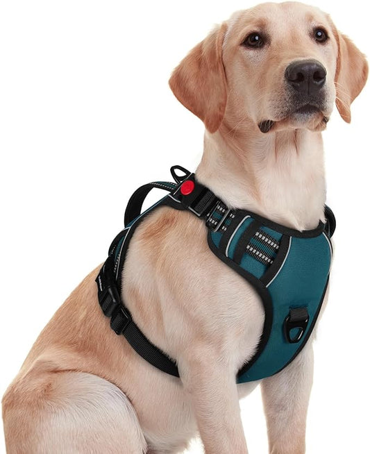 rabbitgoo Dog Harness for Large Dogs, No Pull Pet Harness with Soft Padded Handle, Adjustable Reflective Vest with 3 Buckles, Easy Walking Harness with 2 Leash Clips, Green, M