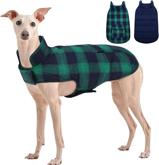 Kuoser Reversible Winter Coat, British Style Jacket for Small Medium Dogs - Warm, Windproof Puppy Cold Weather Vest, Green M