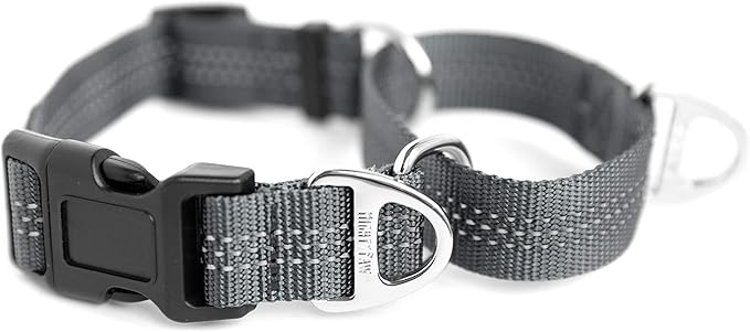 Mighty Paw Martingale Nylon Training Collar - Durable and Safe Choke Collar - Dog Collars Cinch for Controlled Training - Reflective Stitching for Dogs Safety - Grey - Large