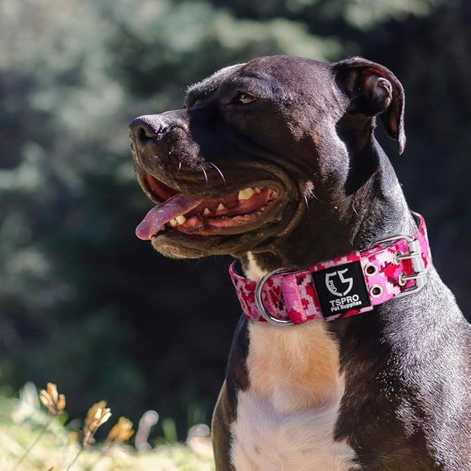 TSPRO Tactical Dog Collar, Adjustable, with Patch & Double Needle Metal Buckle, Heavy Duty for Medium to Large Dogs, Durable for Walking, Running, Hiking & Training (Camo Blue M+)