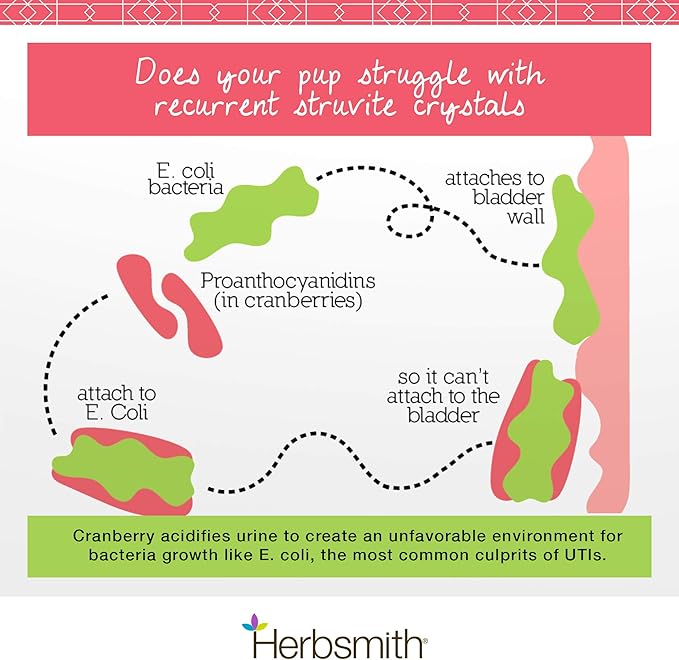 Herbsmith Bladder Care for Cats and Dogs – Maintains Urinary Health for Dogs and Cats – Dog and Cat Kidney Support – 270 Tablets