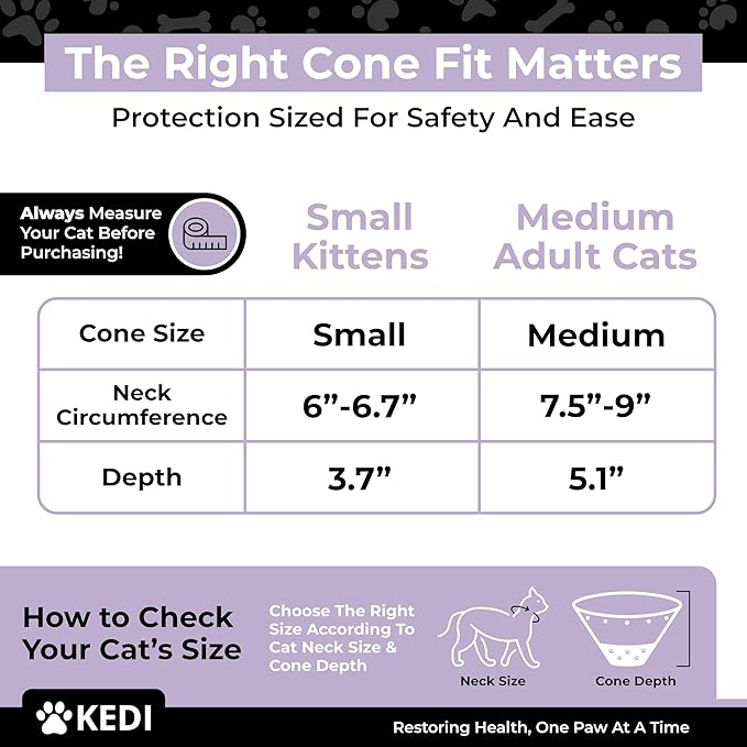 Cat Recovery Cone Kit Post Surgical Soft Pet Vest, Collar, and Non-Irritating Protection Cone for Cats - Comfortable Injury Care Solution (Black with White Paws, Small)