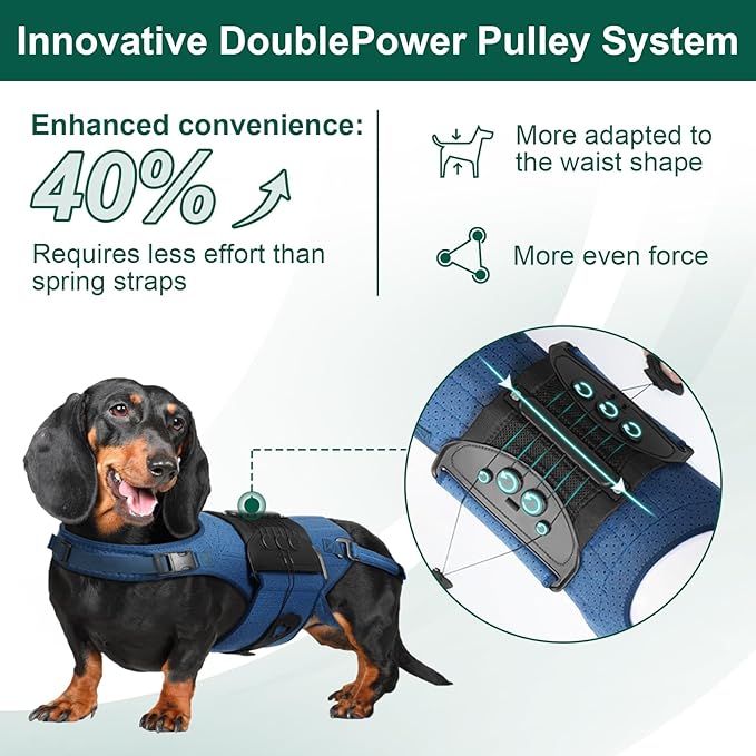 Dog Back Brace for IVDD, Arthritis, Slipped and Herniated Discs – Provides Back Support and Pain Relief, Stabilizes Spine for Surgical Recovery and Mobility, Dogs Back Disease Prevention(Blue,S)