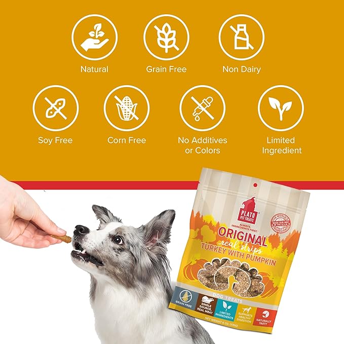 PLATO Original Real Strips Turkey & Pumpkin 18oz, Natural (1459)