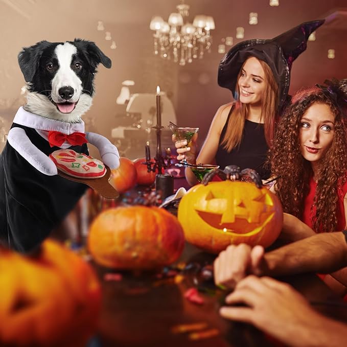NACOCO Dog Halloween Waiter Costume - Pet Pizza Outfit Cute Funny Cosplay Clothes Apparel with Pizza Party Holiday for Small Medium and Large Dogs Cats(Black, S)