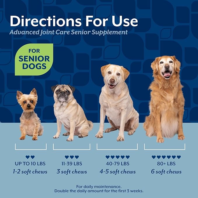 NaturVet Senior Advanced Joint Health Dog Supplement – Includes Glucosamine, MSM, Chondroitin, Collagen – Helps Supports Canine Joint Health Function – 60 Ct. Soft Chews