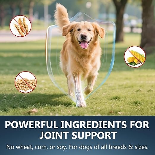 Glucosamine for Dogs - 150 Soft Chews, Hip & Joint Supplement with MSM, Chondroitin, Turmeric – Joint Support for Dogs Chicken Flavor – Vet Formulated – 2-Month Supply