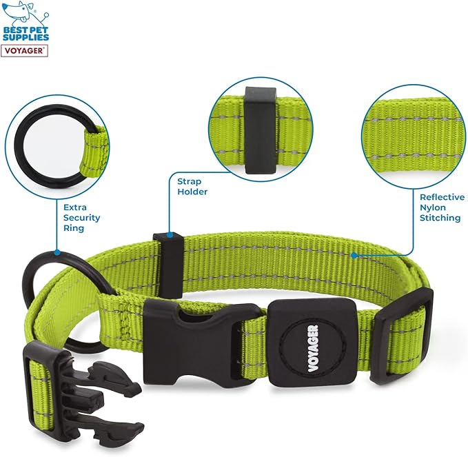 Best Pet Supplies Reflective Dog Collar with Adjustable Length, Heavy-Duty Buckle, and Strong Leash D-Ring, Training, Walking, Jogging Accessory for Small, Medium, and Large Breeds - Lime Green, S