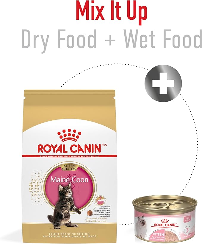 Royal Canin Maine Coon Breed Dry Kitten Food, 3 lb bag