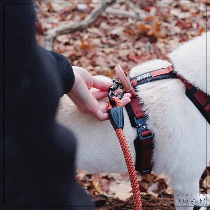 MADE TO ROAM Premium Explorer Harness - Y-Shaped Dog Harness with Adjustable Durable Nylon, Soft Padding, Metal Buckles and Leather Handle for Small, Medium, Large Dogs (Arizona Heartbeat, Size 3)