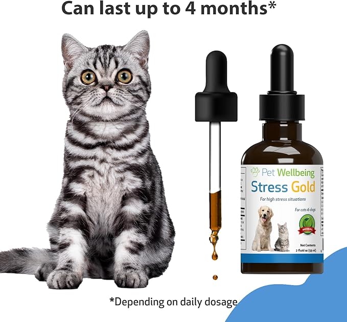 Pet Wellbeing Stress Gold for Cats - Vet-Formulated Situational Feline Stress Support - Fast-Acting Vet Visits, Travel, Grooming - Cat-Safe Holistic Herbal Blend - Liquid Support 2 oz (59ml)