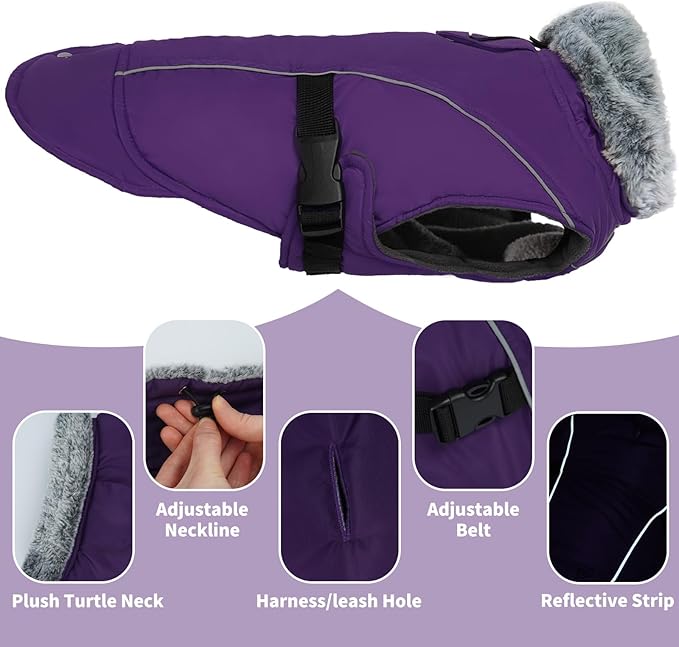 DENTRUN Dog Winter Coat - Windproof Reflective Jacket, Plush Turtleneck & Adjustable Belt, Water Repellent Fleece Lined Cold Weather Vest for Corgi Bulldog, Purple, L