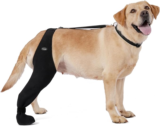 Dog Socks to Prevent Licking Paws ，Breathable Leg Sleeve to Stop Licking and Biting， Firm and Secure Adjustable Size Dog Recovery Sleeve Socks (M-Right)