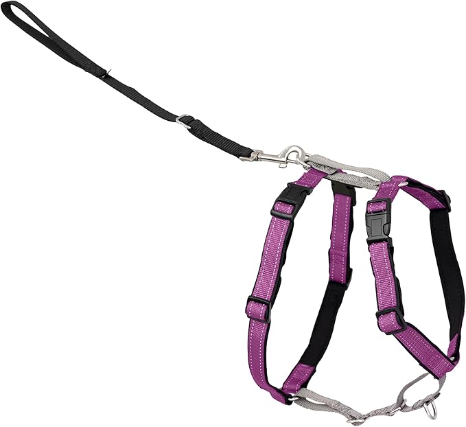 PetSafe 3-in-1 Harness - Comfortable Easy-Walk Dog Chest Harness with Front Leash Attachment to Reduce Pulling, Choking & Gagging - Dog Obedience Gear - Large - Plum