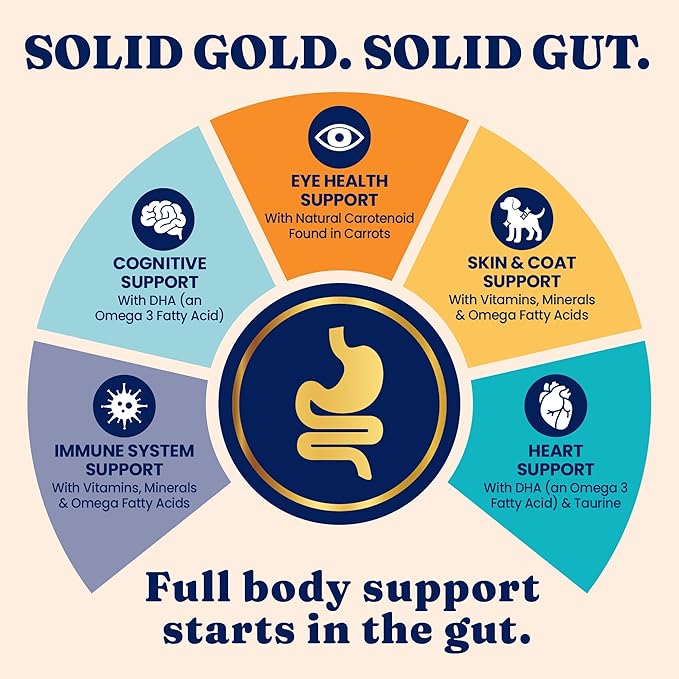 Solid Gold Indoor Dry Cat Food - Grain Free & Gluten Free - Chicken Cat Food Dry Kibble for Indoor Cats w/Probiotics & Fiber for Gut Health - Sensitive Stomach & Hairball Support for Adult Cats -12LB