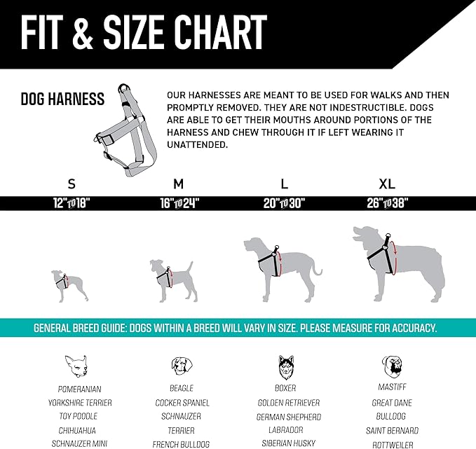 Wolfgang Heavy Duty Adjustable Dog Harness, Pull-Tested to Over 800 lbs for Walking & Training, LosMuertos Print, Medium