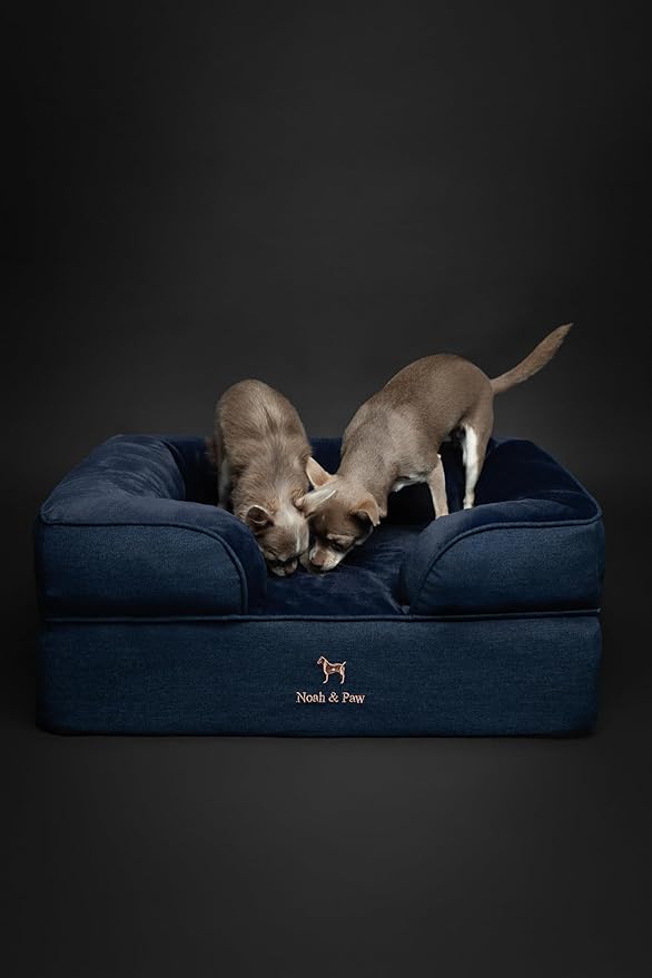 NOAH & PAW Dog Bed, 28x23x11 Inch, Orthopedic Dog Beds for Medium Size Pets, Eggshell Memory Foam Infused with Cooling Gel, Inner Cover, Waterproof, Machine Washable (Denim Sofa Collection)