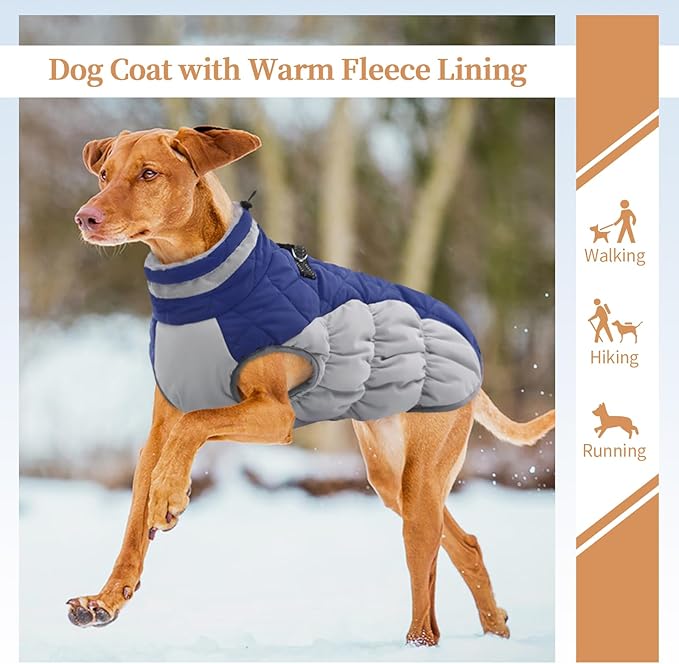 Dog Coats for Small Dogs, Puppy Coat, Warm Winter Jacket, XS Dog Coat with Harness Built in, Waterproof Pet Cold Weather Coats, Puppy Winter Clothes Snowsuit Chihuahua Maltese,Blue,XS