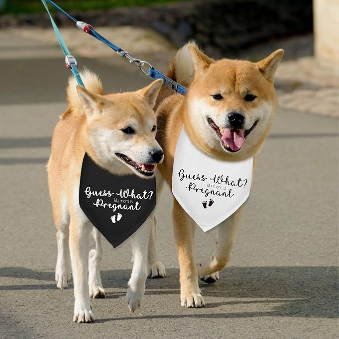 2 Pack Guess What? My Mom is Pregnant Pregnancy Announcement Dogs Bandana Baby Dogs Bandana Dog Pregnancy Announcement Gender Reveal Photo Prop Pet Scarf Accessories for Pet Dog Gifts
