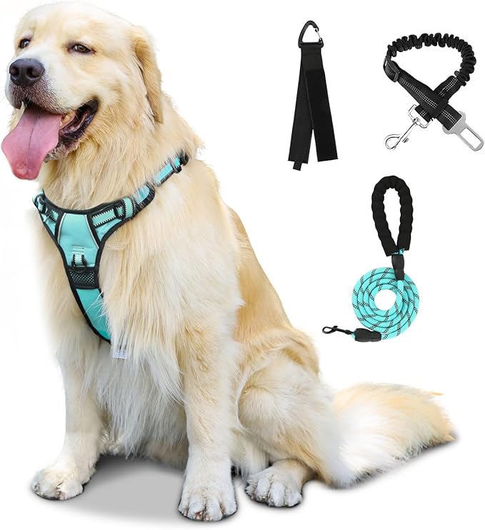 FURRYFECTION Dog Harness | No Pull Dog Harness | Reflective Oxford | Padded Handle | 4 Adjustable Straps | 2 Leash Clips | No Choke Pet Vest Harness for Small Medium Large Dogs | Turquoise | S