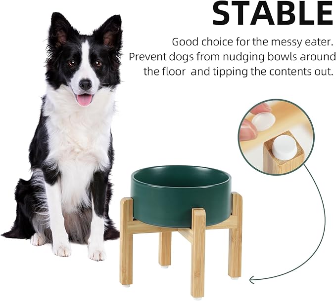 Ceramic Raised Dog Bowl Set, Elevated Dog Bowl with Stand, Food and Water Bowl for Medium Breed Dogs, Weighted Pet Dishes(7.3'',41OZ, Green)