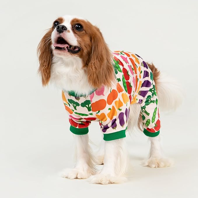 Fitwarm Funny Vegetable Dog Pajamas, Warm Winter Dog Clothes for Small Dogs Boy Girl, Cozy Pet Onesie with Feet, Green, White, Red, Pink, Purple, Large
