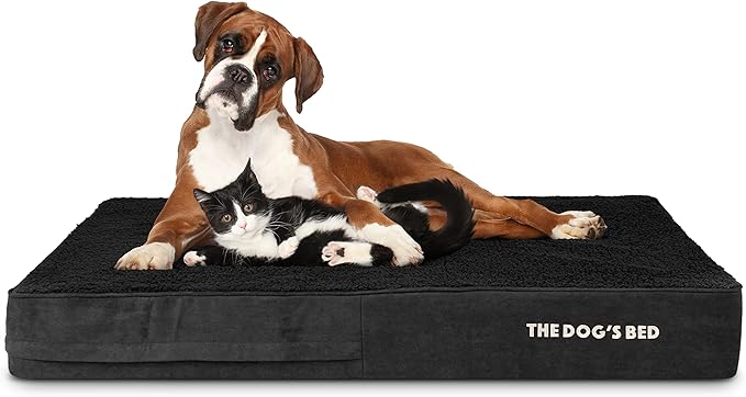 The Dog’s Bed Orthopedic Memory Foam Dog Bed, XL Black Plush, Pain Relief for Arthritis, Hip & Elbow Dysplasia, Post Surgery, Lameness, Supportive, Calming, Waterproof Washable Cover