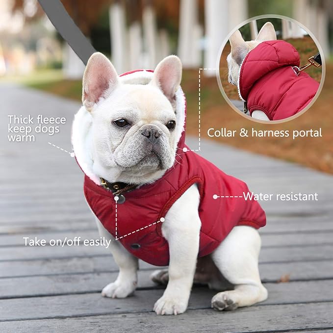 Windproof Waterproof Dog Coat Fleece & Cotton Lined Warm Jacket, Cold Weather Pet Apparel Clothes Vest for Small Medium Large Dog (L, Red)