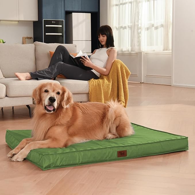 Orthopedic Dog Bed for Medium Dogs - Waterproof & Machine Washable Pet Bed with Egg Crate Foam, Removable Cover for Easy Cleaning, for Indoor & Outdoor Use, 30x20 Inch, Light Green
