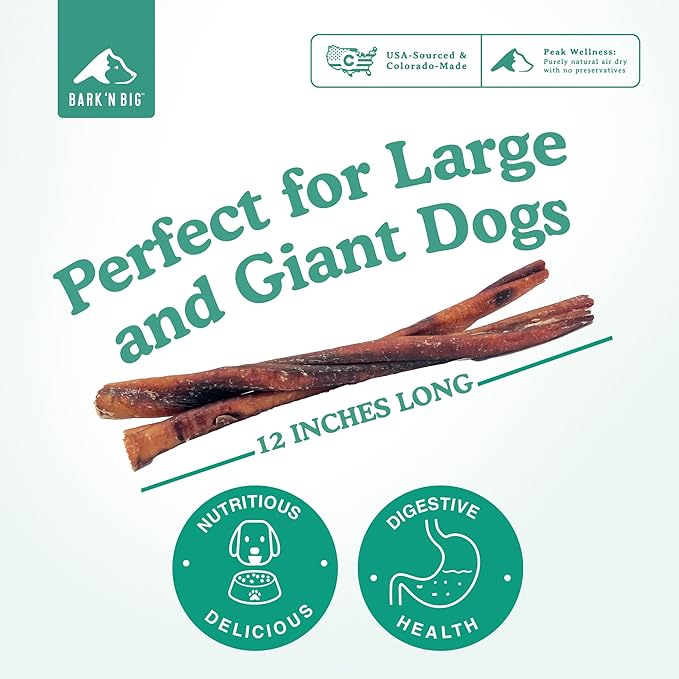 BARK'N BIG Thick 12 Inch Odor Free Bully Sticks for Large Dogs Made in USA - Single Ingredient Dog Chew - Premium Pizzle Sticks - Beef Pizzles for Large Breeds - 5 Count